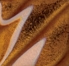 AMACO Gloss Glaze - LG-65 - Amber - 1 pint