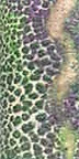 Aardvark's Raku Glaze RG-308 - 1 lb.