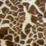 AMACO Specialty Glaze - Arroya Brown - 4 fluid oz