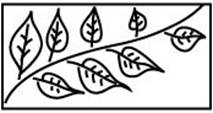 MKM Stamps - Medium Rectangles -  Srm-7